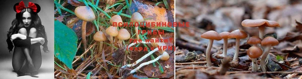 jwh Балахна