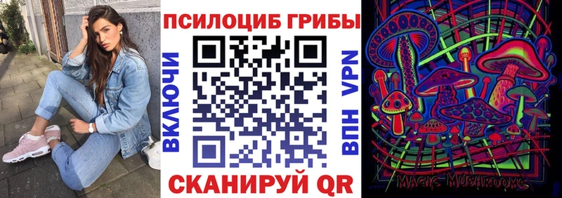 Псилоцибиновые грибы ЛСД как найти наркотики Дальнегорск